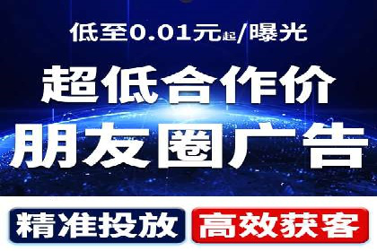 SEM广告投放的竞价策略与效果评估案例